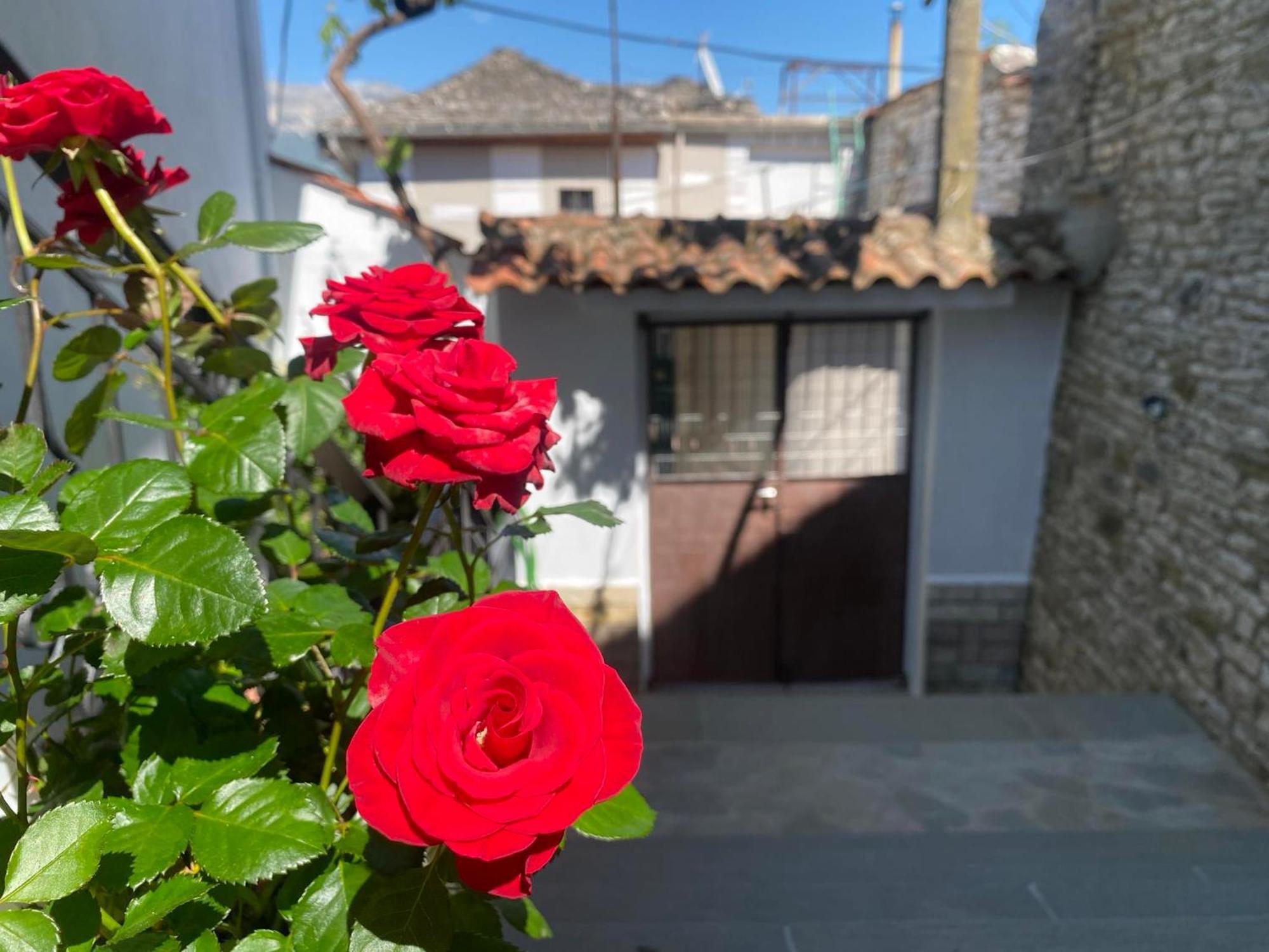 Guest House Persa Gjirokastër المظهر الخارجي الصورة